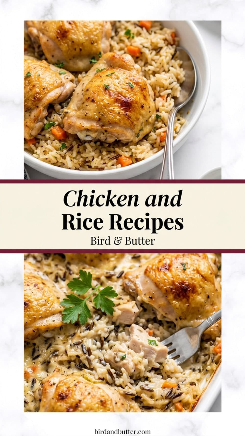 Chicken and Rice Recipes
